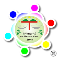 Redes Tlalixtaquilla de Maldonado